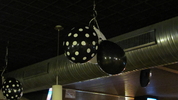 Picture IMG_0488